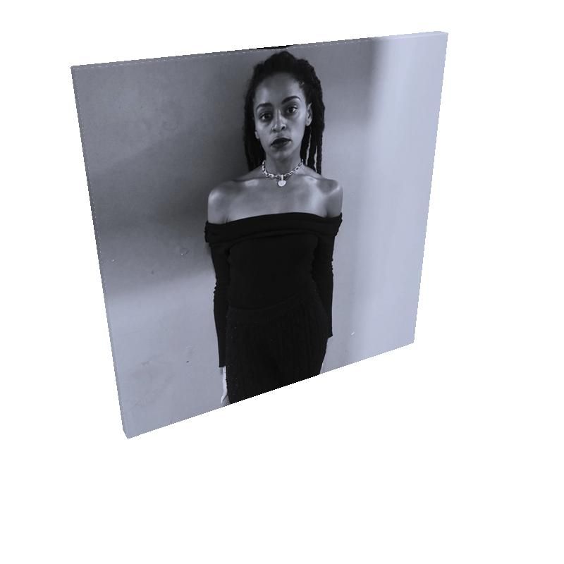 The Luminaire Runway: Obsidian - Limited Fine-Arts Canvas Edition