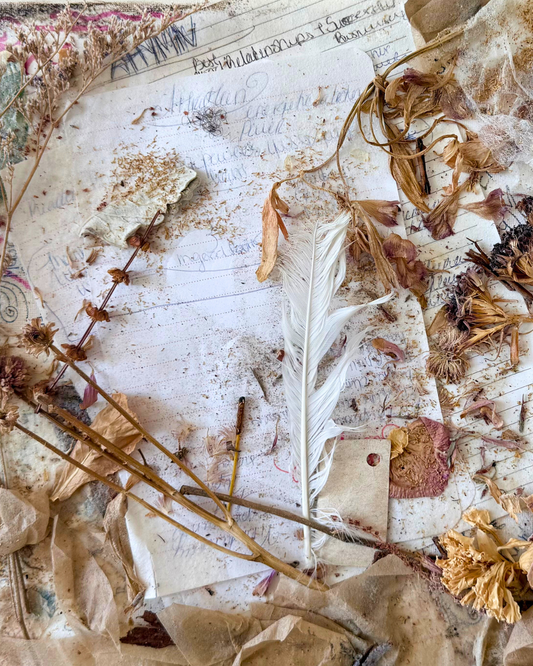 Forgiven- Limited Fine-Art Canvas